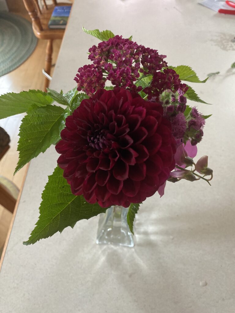 Dahlia bouquet