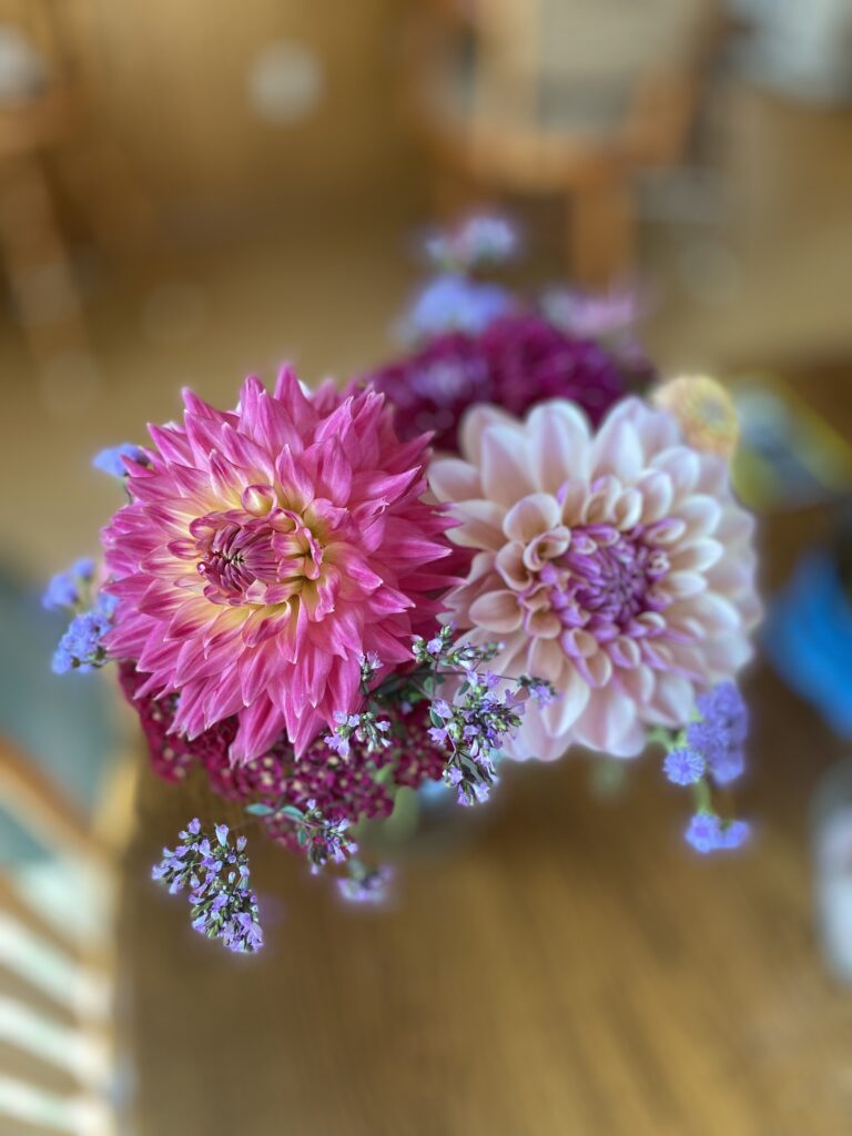 Dahlia bouquet